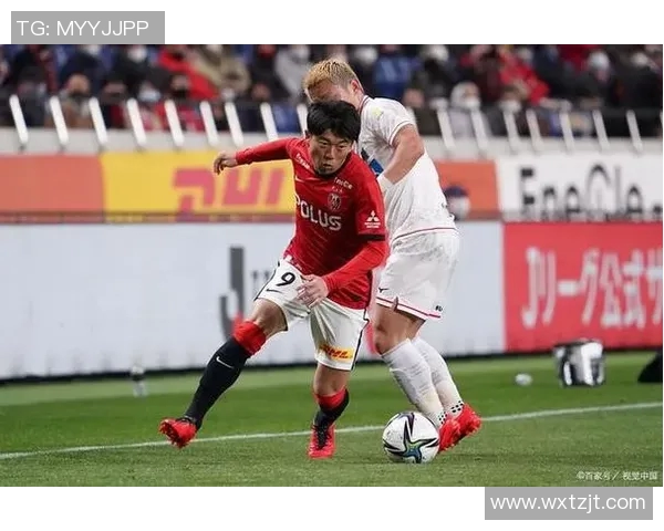 新泻天鹅迎战冈萨多期待精彩对决揭开新篇章 新泻天鹅迎战冈萨多期待精彩对决揭开新篇章