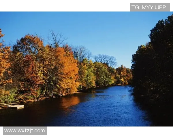 波士顿河与波特诺的魅力对比探讨与文化交融分析 波士顿河与波特诺的魅力对比探讨与文化交融分析