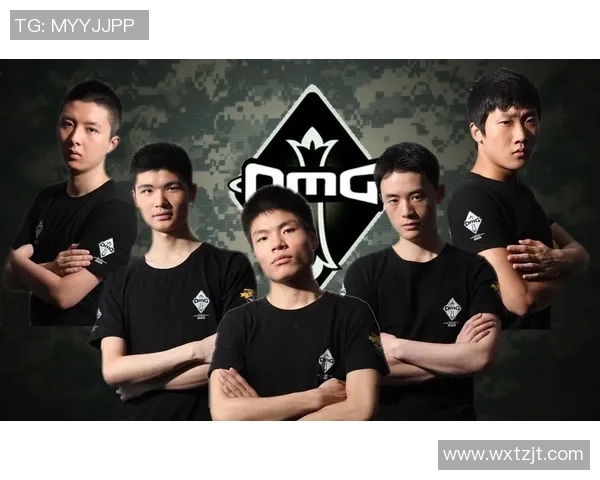 英雄联盟战术解析：深入剖析WE战队的区域防守策略与执行