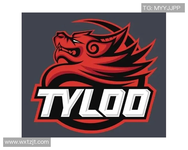 WE战队在CSGO中的转型之路与成败得失分析