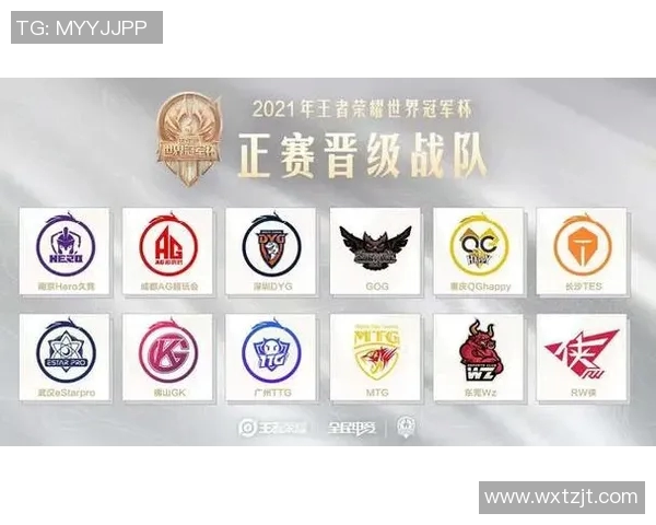 TES在世界冠军杯中的战术表现分析与点评探讨