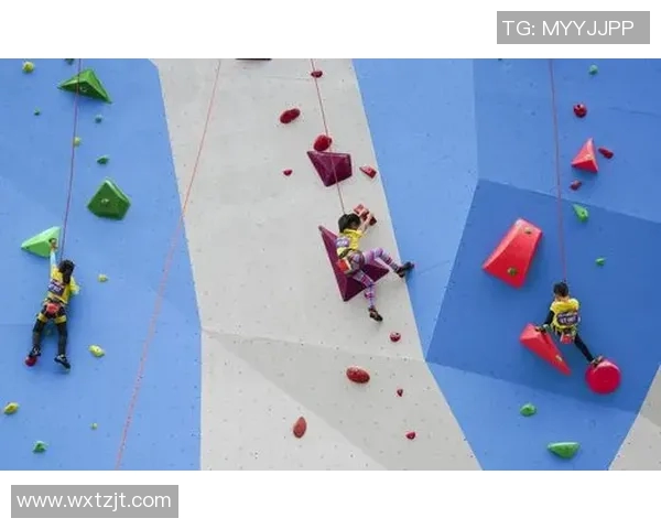 上海滑板队在攀岩联赛中的经验与表现分析