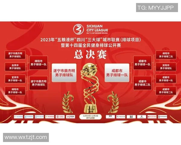 成都排球队实力分析与数据解读：揭示其竞技表现与发展潜力